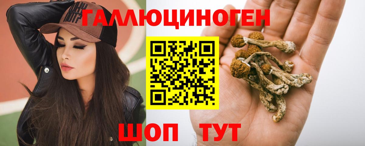 Галлюциногенные грибы Psilocybe  Вход с VPN  купить   Чебаркуль 